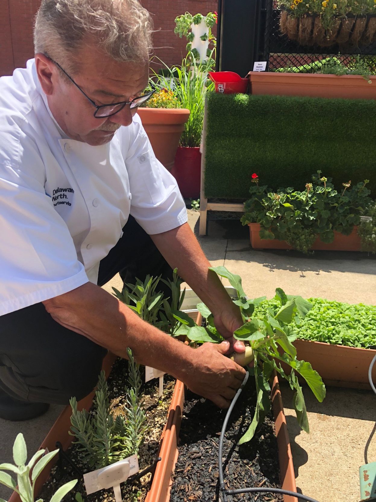 Rooftop garden at Busch Stadium